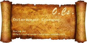 Ostermayer Csongor névjegykártya